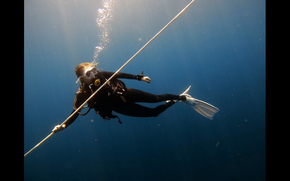 Support the Gregg R. Stanton Dive Locker!